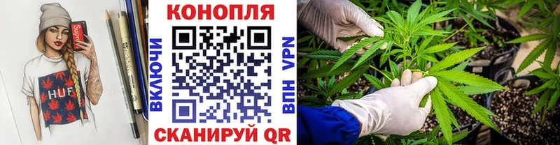 купить   hydra вход  Бошки марихуана планчик  Чистополь 